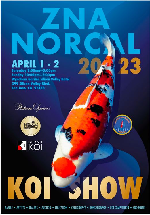 Koi Shows 2024 Santa Clara Valley Koi and Water Garden Club